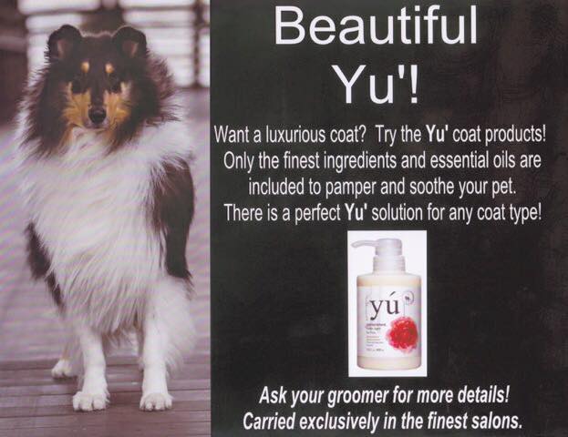 Picture of advertisement for Yu' with Beauty N' the Beasts' very own Pancho is their featured model.