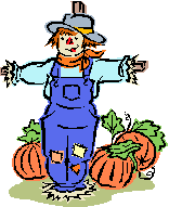 A Scarecrow in a pumpkin patch.