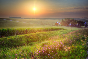 Beautiful sunset on Shelby County countryside. Copyright Kenneth West Photography.